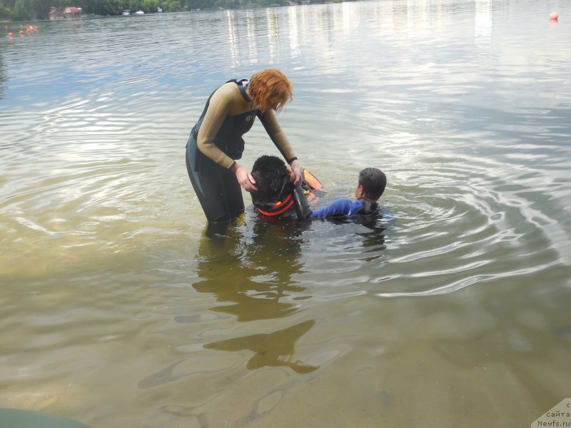 Фотография № 186989