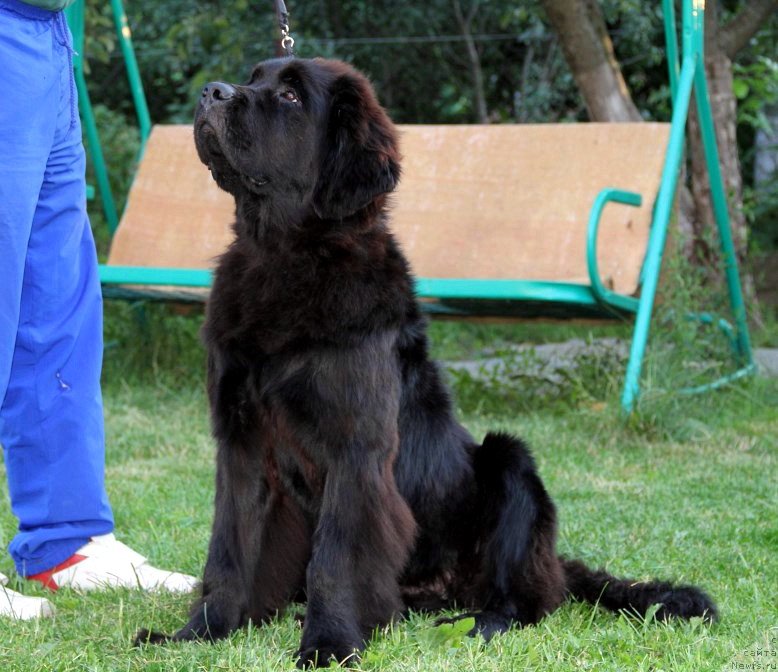 Фотография № 187010