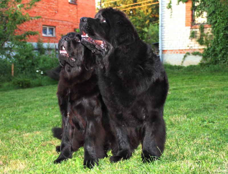 Фотография № 187013