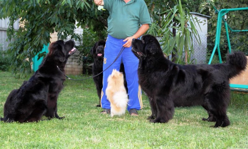 Фотография № 187015