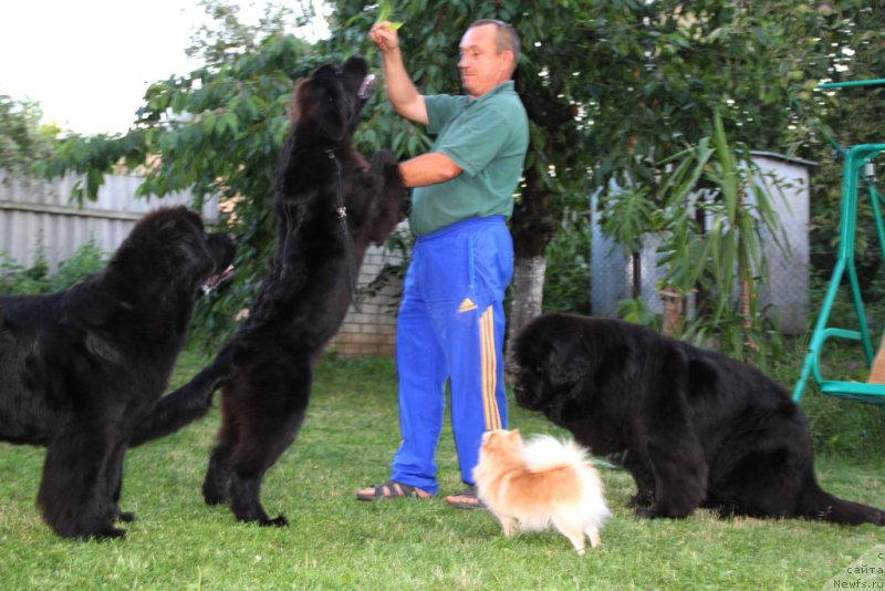 Фотография № 187016