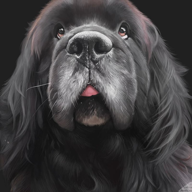 Фотография № 187017