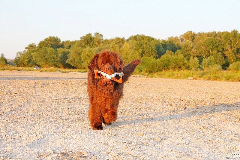 Фотография № 187026