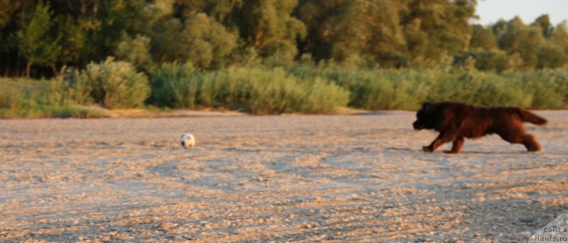 Фотография № 187029