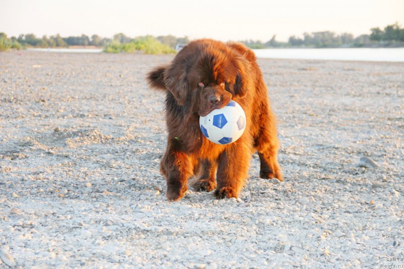 Фотография № 187033