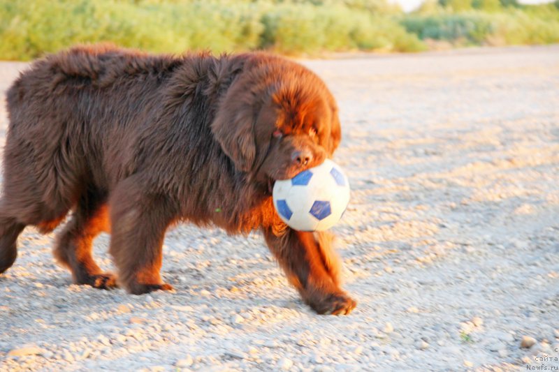 Фотография № 187035