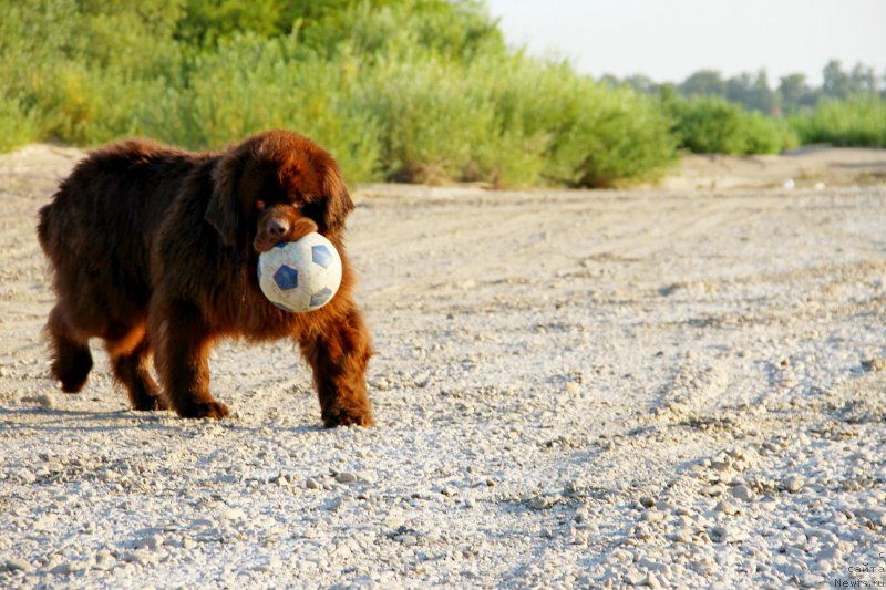 Фотография № 187039