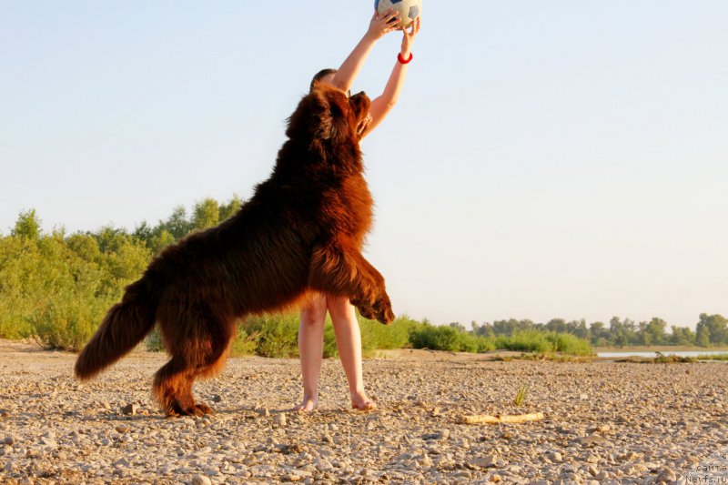 Фотография № 187041