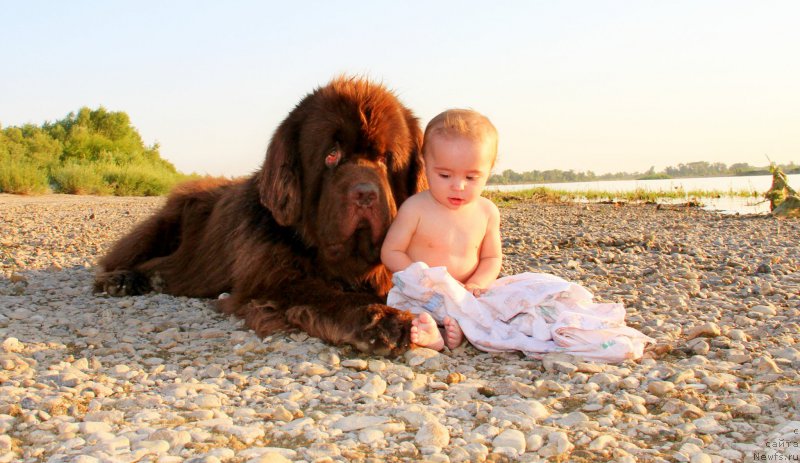 Фотография № 187042