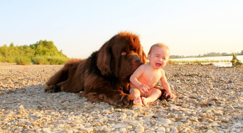 Фотография № 187044