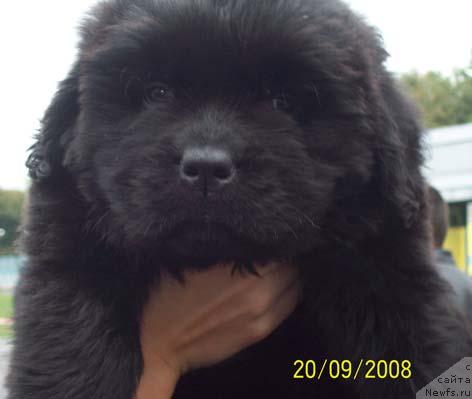 Фото: Сын Барри Пейв Блейка и Джины