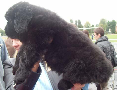 Фото: Сын(3) от Барри Пейв Блейка и Джины