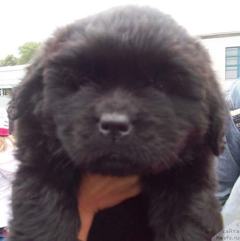 Фото: Дочка Барри Пейв Блейка и Джины