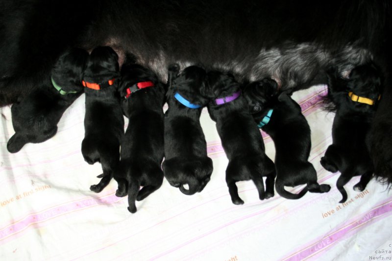 Фотография № 187120