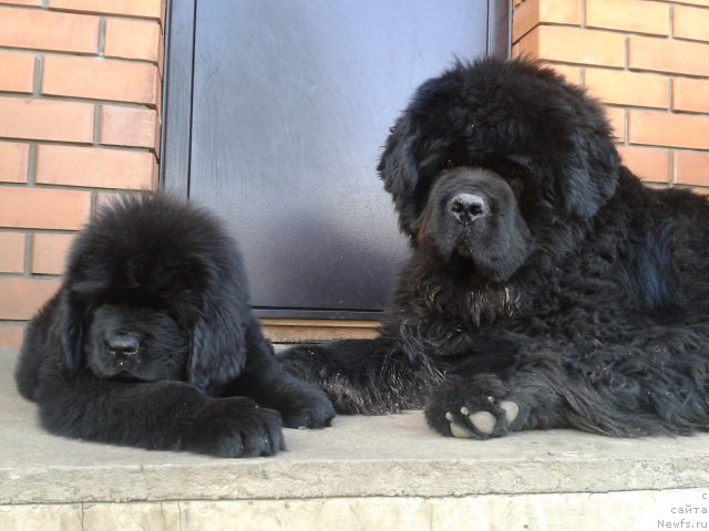 Фотография № 187125