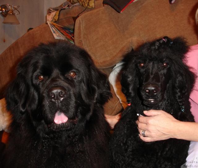 Фотография № 18715