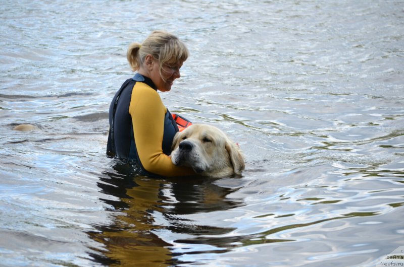 Фотография № 187154