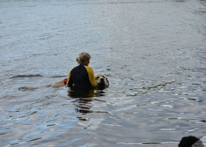 Фотография № 187155