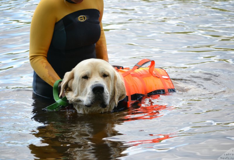 Фотография № 187156