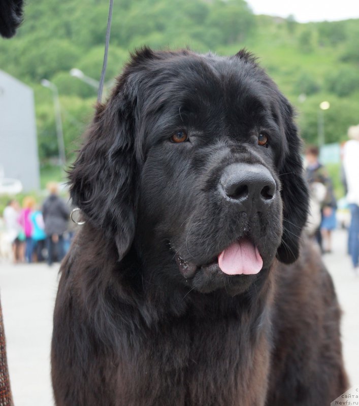 Фотография № 187163