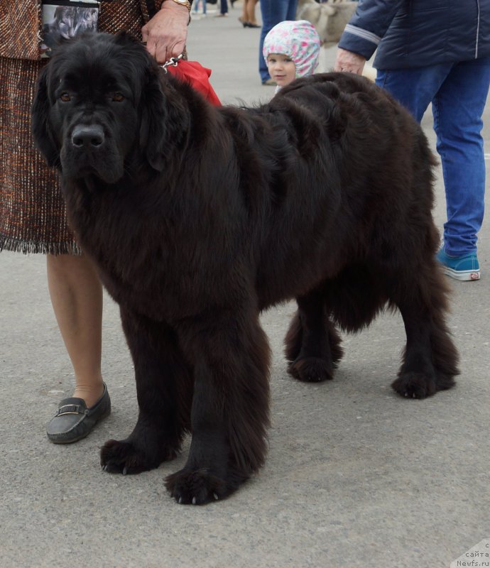 Фотография № 187165