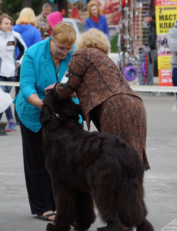 Фотография № 187168