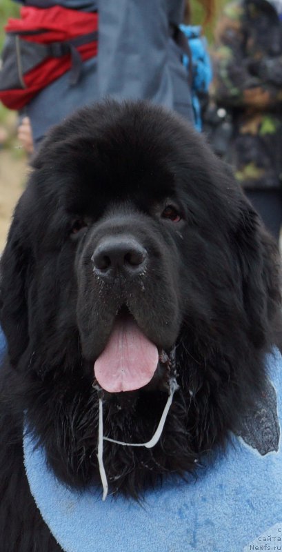 Фотография № 187173