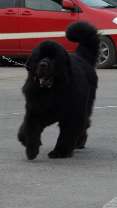 Фотография № 187174