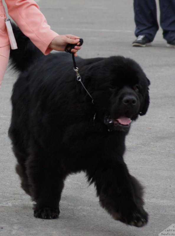 Фотография № 187176