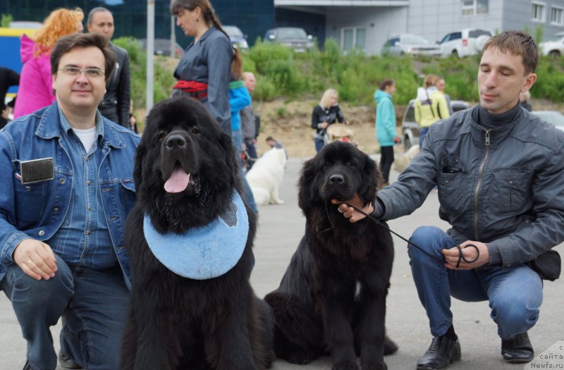 Фотография № 187179