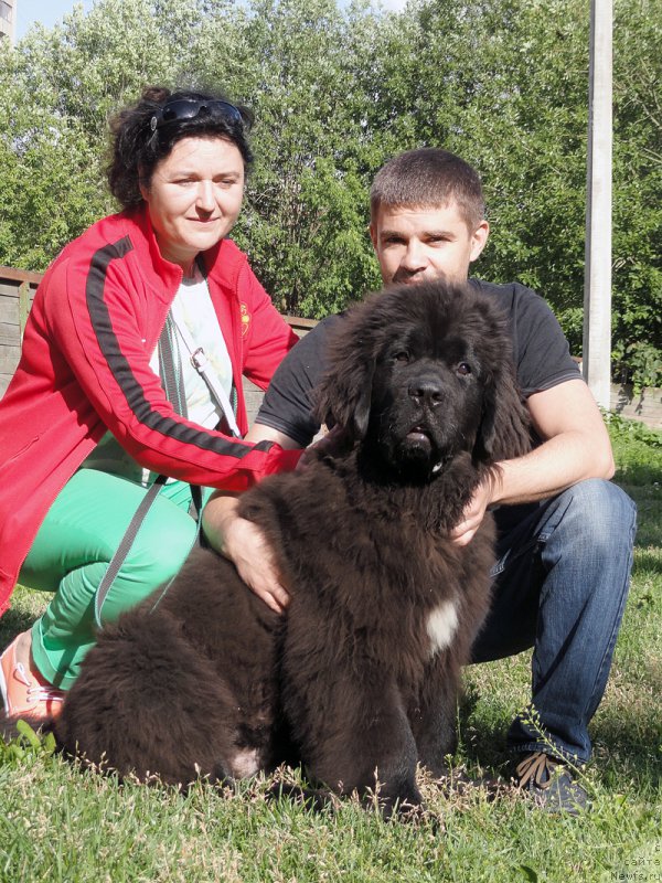 Фотография № 187183