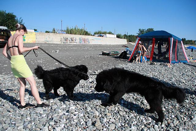 Фото: Фрей, Драйв, Юля