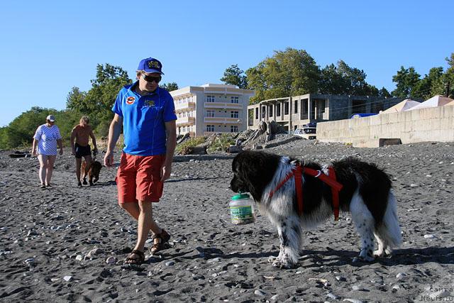 Фото: Осик, Игорь