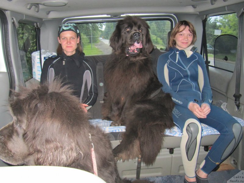 Фотография № 187237