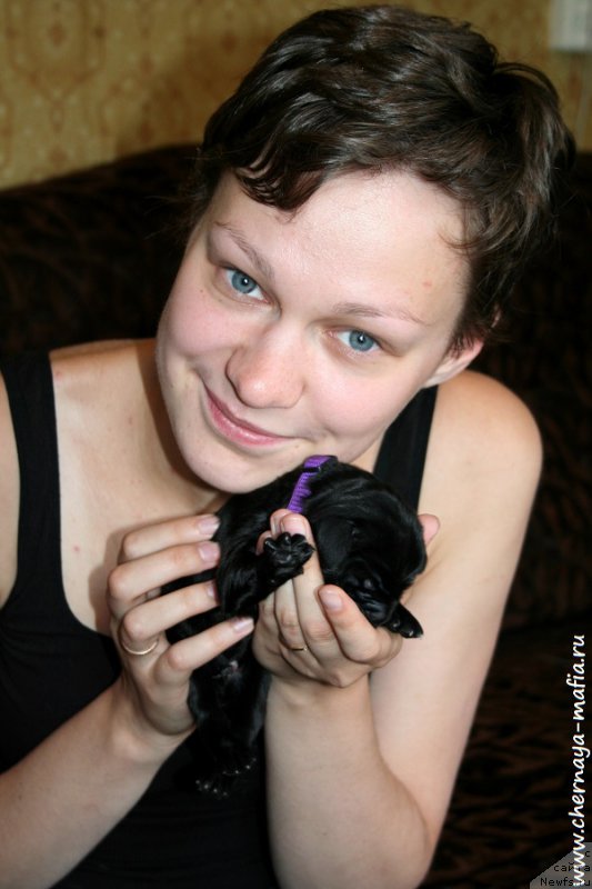 Фотография № 187266