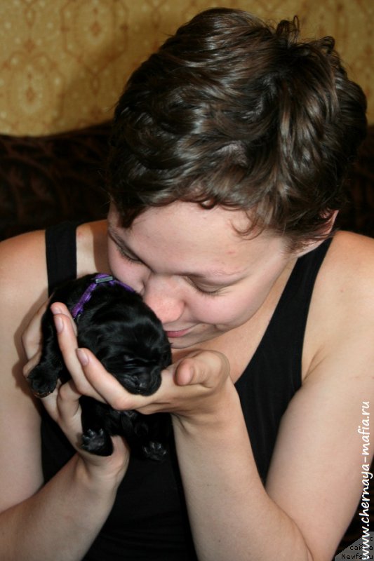 Фотография № 187267