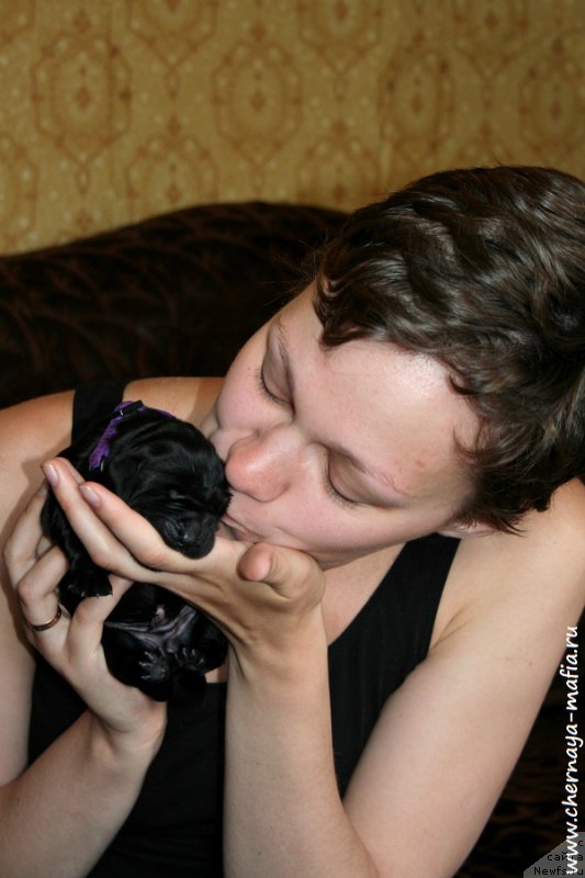 Фотография № 187268