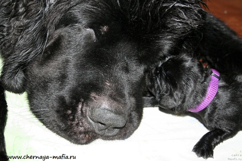 Фотография № 187271