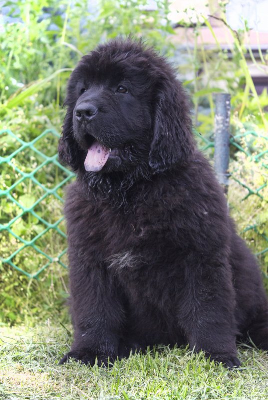 Фотография № 187273