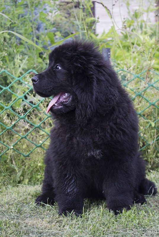 Фотография № 187276