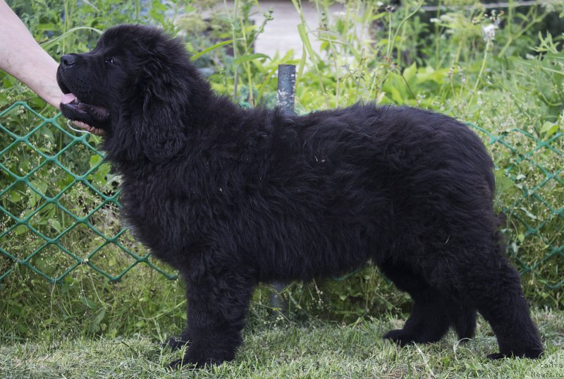 Фотография № 187278