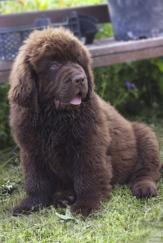 Фотография № 187288