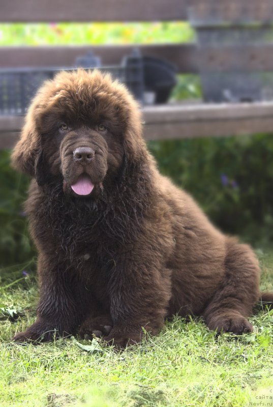 Фотография № 187289