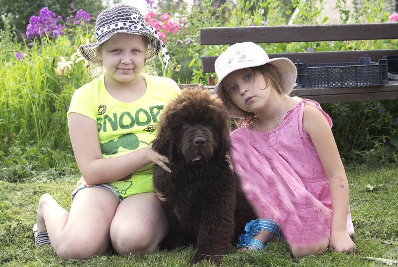 Фотография № 187290