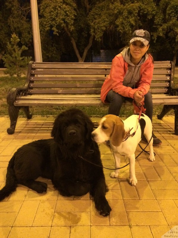 Фотография № 187299