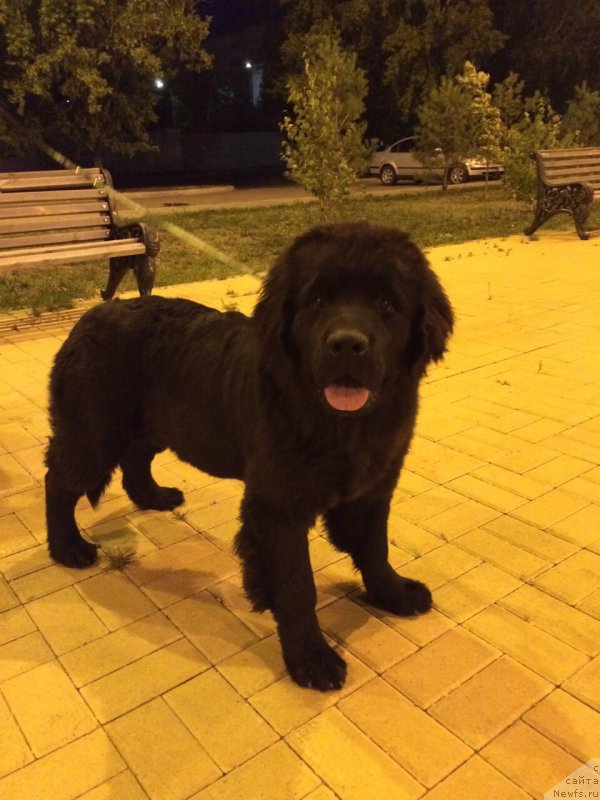 Фотография № 187300