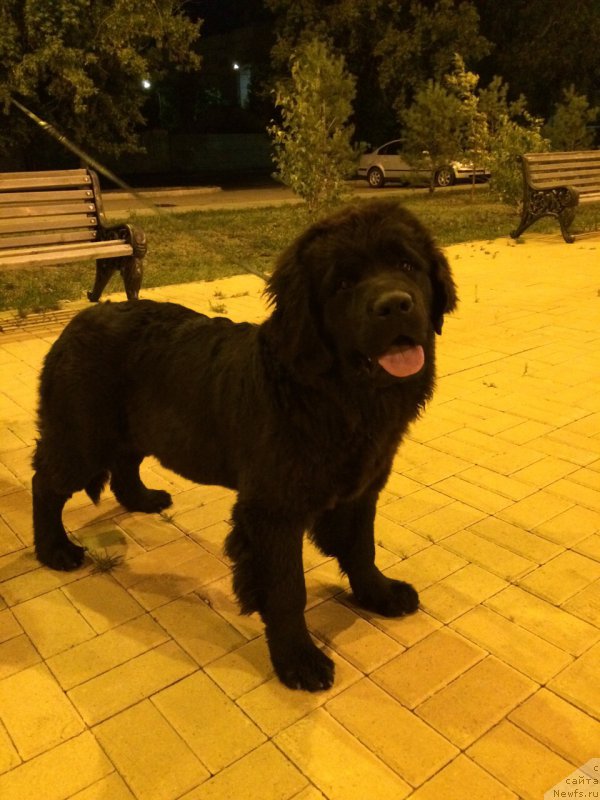 Фотография № 187301