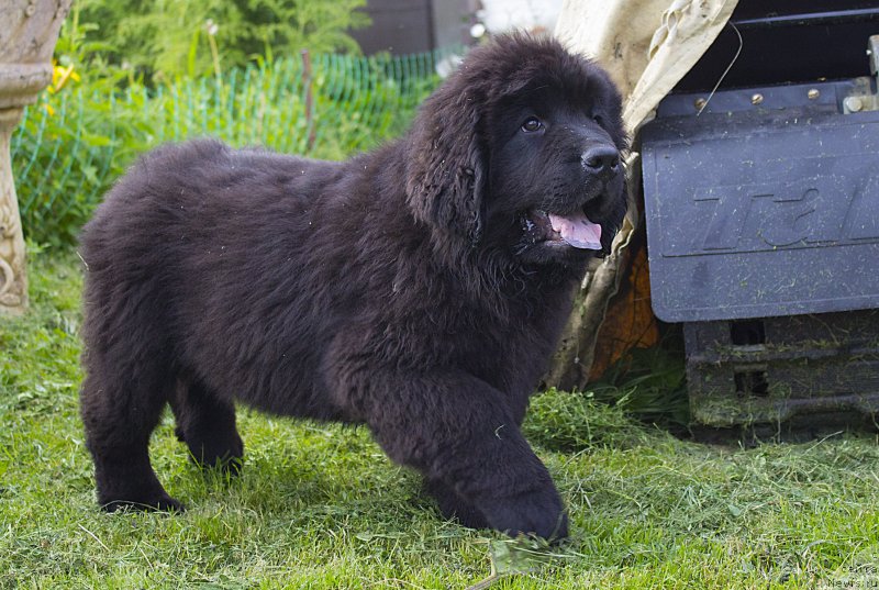 Фотография № 187307