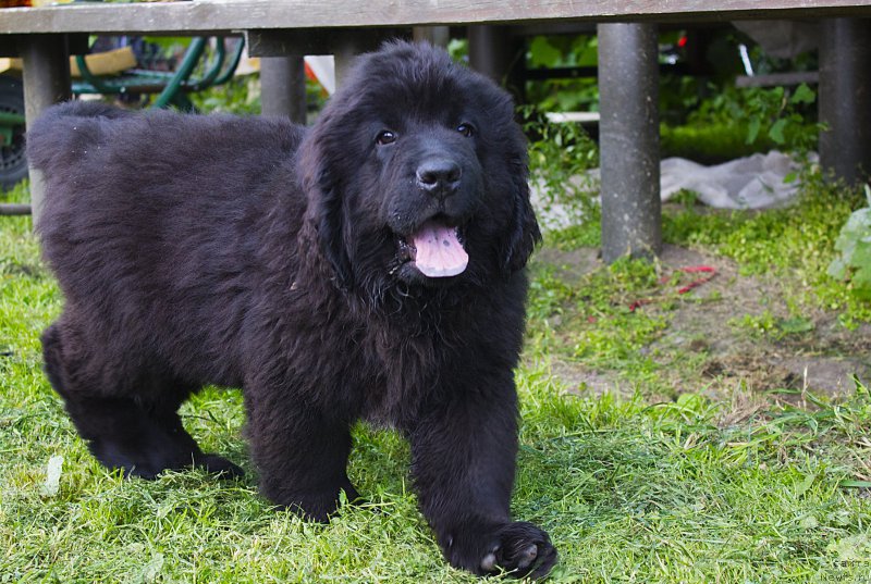 Фотография № 187308