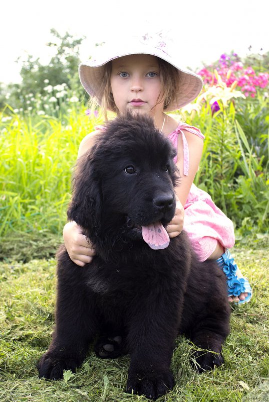 Фотография № 187309